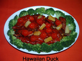 Hawaiian Duck